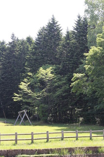180616c.jpg