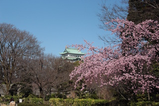 名古屋城.jpg