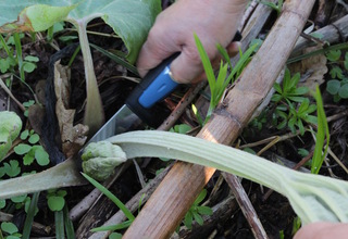MORAKNIV6.jpg
