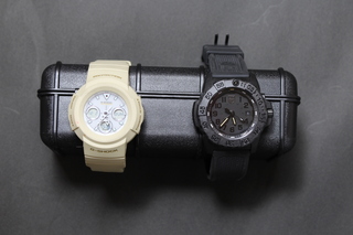 luminox1.JPG